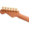Charvel Pro-Mod DK24 HSS 2PT CM SW Charvel Pro-Mod DK24 HSS 2PT CM SW