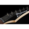 Ibanez RG421-PFM Ibanez RG421-PFM