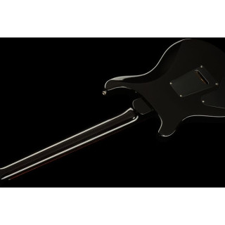 PRS PRS DGT Moons BW PRS PRS DGT Moons BW