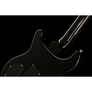 PRS PRS DGT Moons BW PRS PRS DGT Moons BW