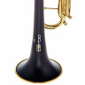 Труба daCarbo Unica Goldlacquer Bb- Trumpet daCarbo Unica Goldlacquer Bb- Trumpet