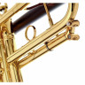 Труба daCarbo Unica Goldlacquer Bb- Trumpet daCarbo Unica Goldlacquer Bb- Trumpet