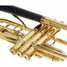 Труба daCarbo Unica Goldlacquer Bb- Trumpet daCarbo Unica Goldlacquer Bb- Trumpet