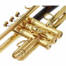 Труба daCarbo Unica Goldlacquer Bb- Trumpet daCarbo Unica Goldlacquer Bb- Trumpet