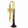 Труба daCarbo Unica Goldlacquer Bb- Trumpet daCarbo Unica Goldlacquer Bb- Trumpet