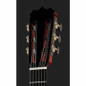 Классическая гитара Hanika Flamenco ZF Hanika Flamenco ZF