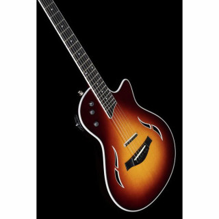 Тейлор T5z Стандарт TS Taylor T5z Standard TS