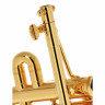 Труба-пикколо Schilke P5-4 золотая Schilke P5-4 Piccolo Trumpet Gold