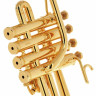 Труба-пикколо Schilke P5-4 золотая Schilke P5-4 Piccolo Trumpet Gold