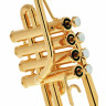 Труба-пикколо Schilke P5-4 золотая Schilke P5-4 Piccolo Trumpet Gold