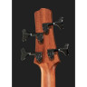 Электроакустическая бас-гитара Furch Bc 61-CM4