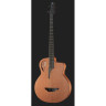 Электроакустическая бас-гитара Furch Bc 61-CM4