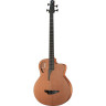 Электроакустическая бас-гитара Furch Bc 61-CM4