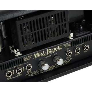 Меса Буги Ректо-Глагол с двадцатью пятью главами Mesa Boogie Recto-Verb Twenty-Five Head