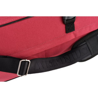 Артонус Джистон Профессиональная скрипка BB Artonus Geeston Pro Violin BB