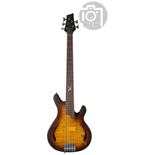 Сандберг Флоренс Нова 40-летие TB 4 Sandberg Florence Nova 40th Anniv TB 4