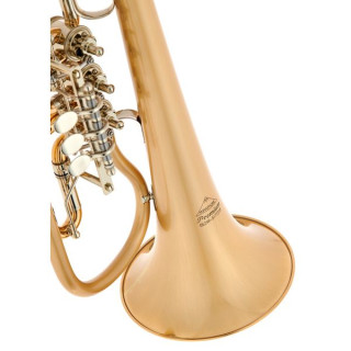Флюгельгорн Miraphone 24R 1100 A100 G010 Flugelhorn