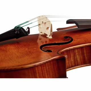 Карл Хефнер H225-FR-V Франческо Руджиери Karl Höfner H225-FR-V Francesco Ruggieri