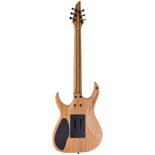 Mayones Guitars Duvell Elite Pro 6 Fire Dragon Mayones Guitars Duvell Elite Pro 6 Fire Dragon