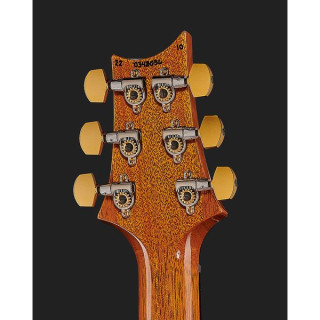 PRS Специальный полупустотелый 10 верхний ER PRS Special Semi-Hollow 10 Top ER