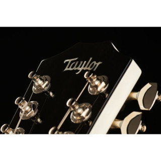 Taylor T5z-12 Classic DLX AW Taylor T5z-12 Classic DLX AW