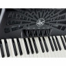 Hohner Bravo III 72 черный бесшумный ключ Набор №521351 Hohner Bravo III 72 Black silent key Bundle №521351