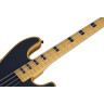 Сессия Schecter Model-T-4 часа Schecter Model-T Session-4 ANS