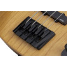 Сессия Schecter Model-T-4 часа Schecter Model-T Session-4 ANS