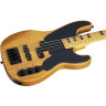 Сессия Schecter Model-T-4 часа Schecter Model-T Session-4 ANS