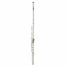 Флейта Muramatsu DS-CCEO Flute Handmade Muramatsu DS-CCEO Flute Handmade