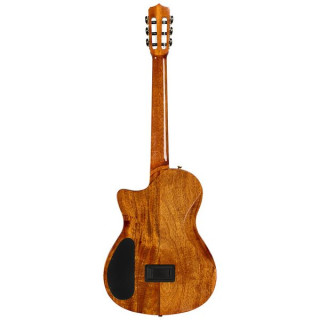 Кордоба Stage Artist Агаве Бурст Cordoba Stage Artist Agave Burst