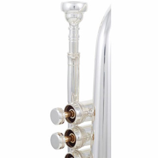 Кэрол Брасс CCR-7770R-RSM-C-S Carol Brass CCR-7770R-RSM-C-S