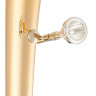Туба Miraphone 494 Hagen GM Bb-Tuba