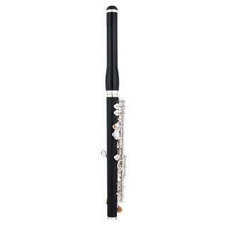 Флейта Thomann PFL-400H Piccolo Flute Synthet