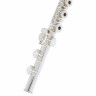 Флейта Muramatsu DS-RCEO Flute Handmade Muramatsu DS-RCEO Flute Handmade