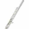 Флейта Muramatsu DS-RCEO Flute Handmade Muramatsu DS-RCEO Flute Handmade