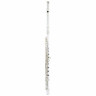 Флейта Muramatsu DS-RCEO Flute Handmade Muramatsu DS-RCEO Flute Handmade