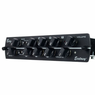 Синергия Богнер Экстази Synergy Bogner Ecstasy