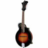 Мандолина The Loar LM-520-VS