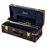 Bach LR18043 Bb-Trumpet Bach LR18043 Bb-Trumpet