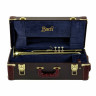Bach LR18043 Bb-Trumpet Bach LR18043 Bb-Trumpet