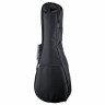 Укулеле Kala KA-B Satin Mahogany Baritone Kala KA-B Satin Mahogany Baritone