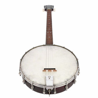 Запись тенор-банджо King RKT-05 "Грязные 30-е" Recording King RKT-05 Dirty 30s Tenor Banjo