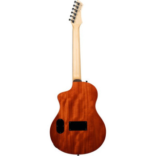 Ортега RTPG-LS2 Ortega RTPG-LS2