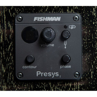 Breedlove Rainforest S Concert CE BG Breedlove Rainforest S Concert CE BG