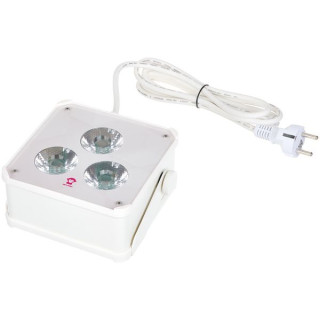 Ape Labs ApeLight maxi V2 (C) Single C Ape Labs ApeLight maxi V2 (C) Single C