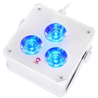 Ape Labs ApeLight maxi V2 (C) Single C Ape Labs ApeLight maxi V2 (C) Single C