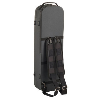 Артонус Джистон Профессиональная скрипка SZ Artonus Geeston Pro Violin SZ