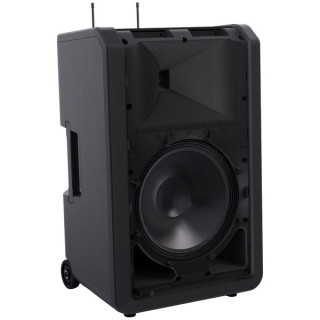 LD Systems ANNY 12 BPH 2 B8 LD Systems ANNY 12 BPH 2 B8