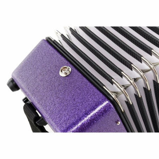 Детский аккордеон Weltmeister Mini 22121 Violet Weltmeister Mini 22121 Violet